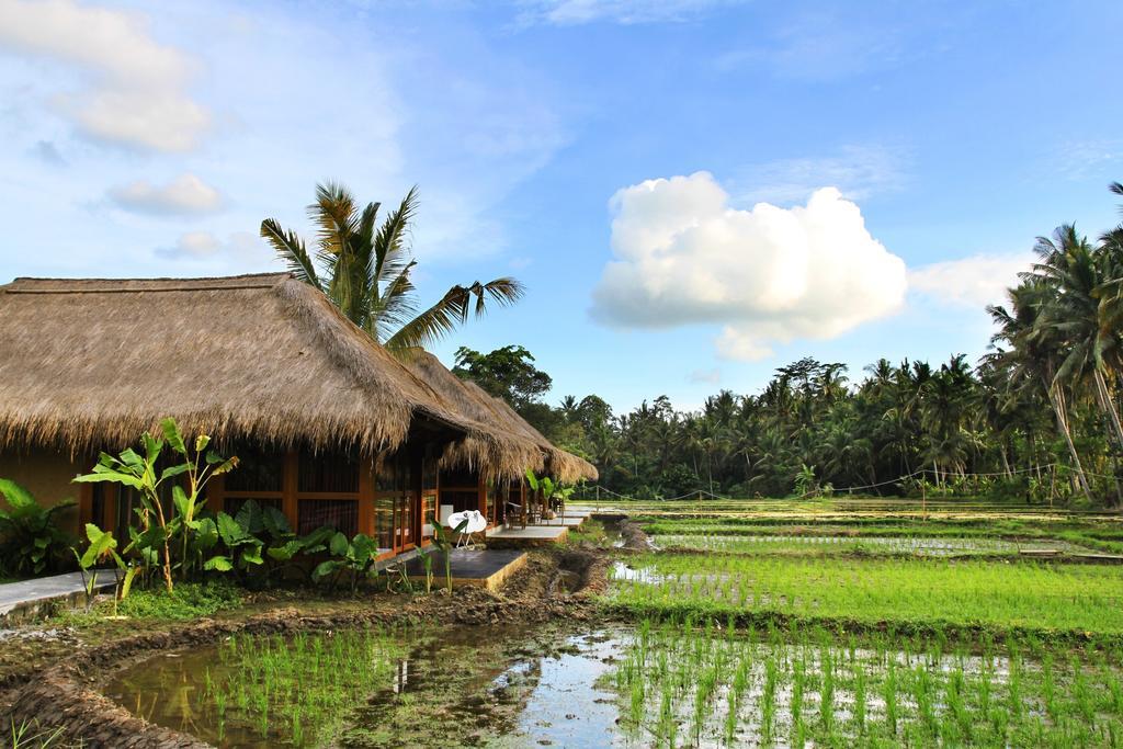 אובוד Sapulidi Resort Spa & Gallery Bali מראה חיצוני תמונה