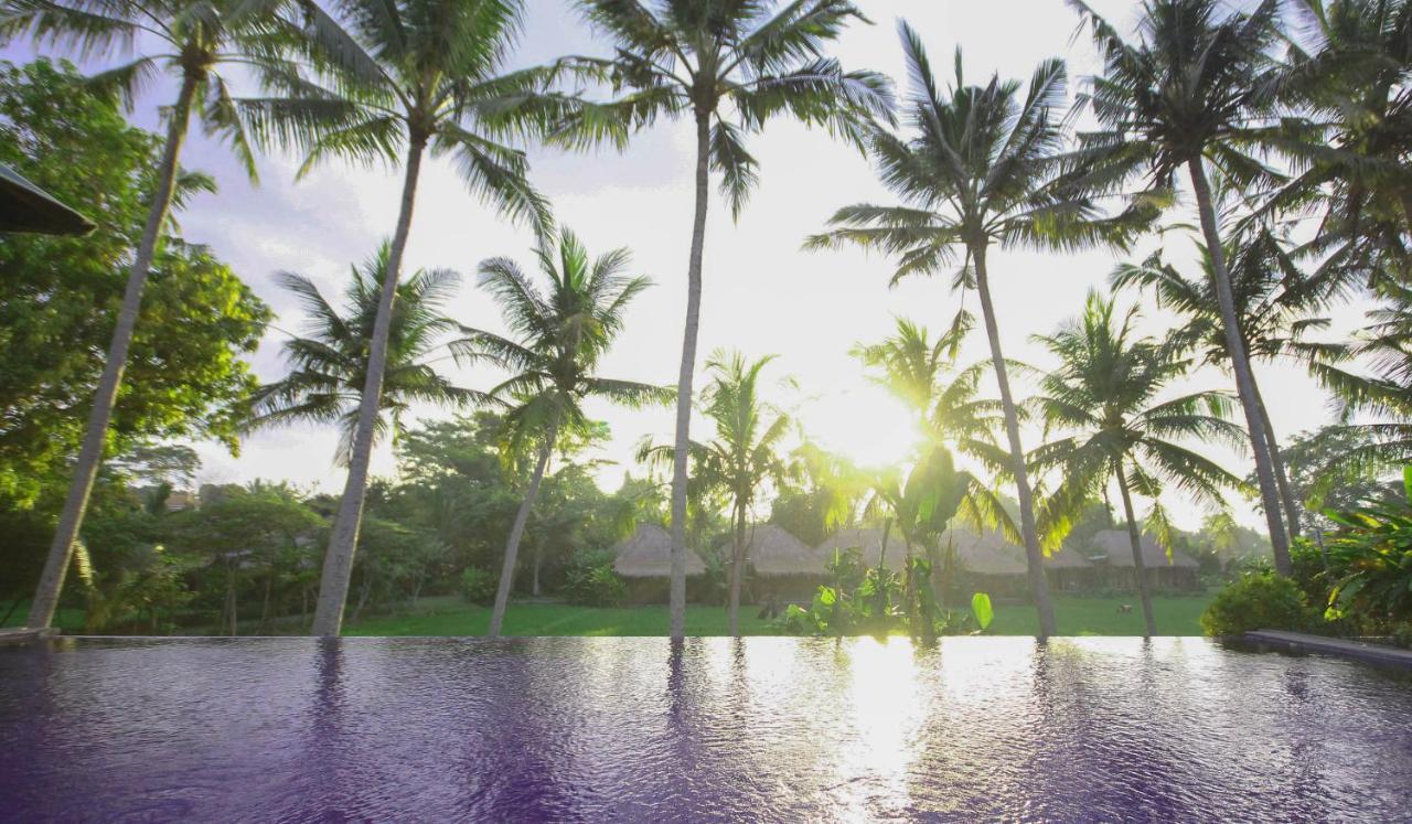 אובוד Sapulidi Resort Spa & Gallery Bali מראה חיצוני תמונה