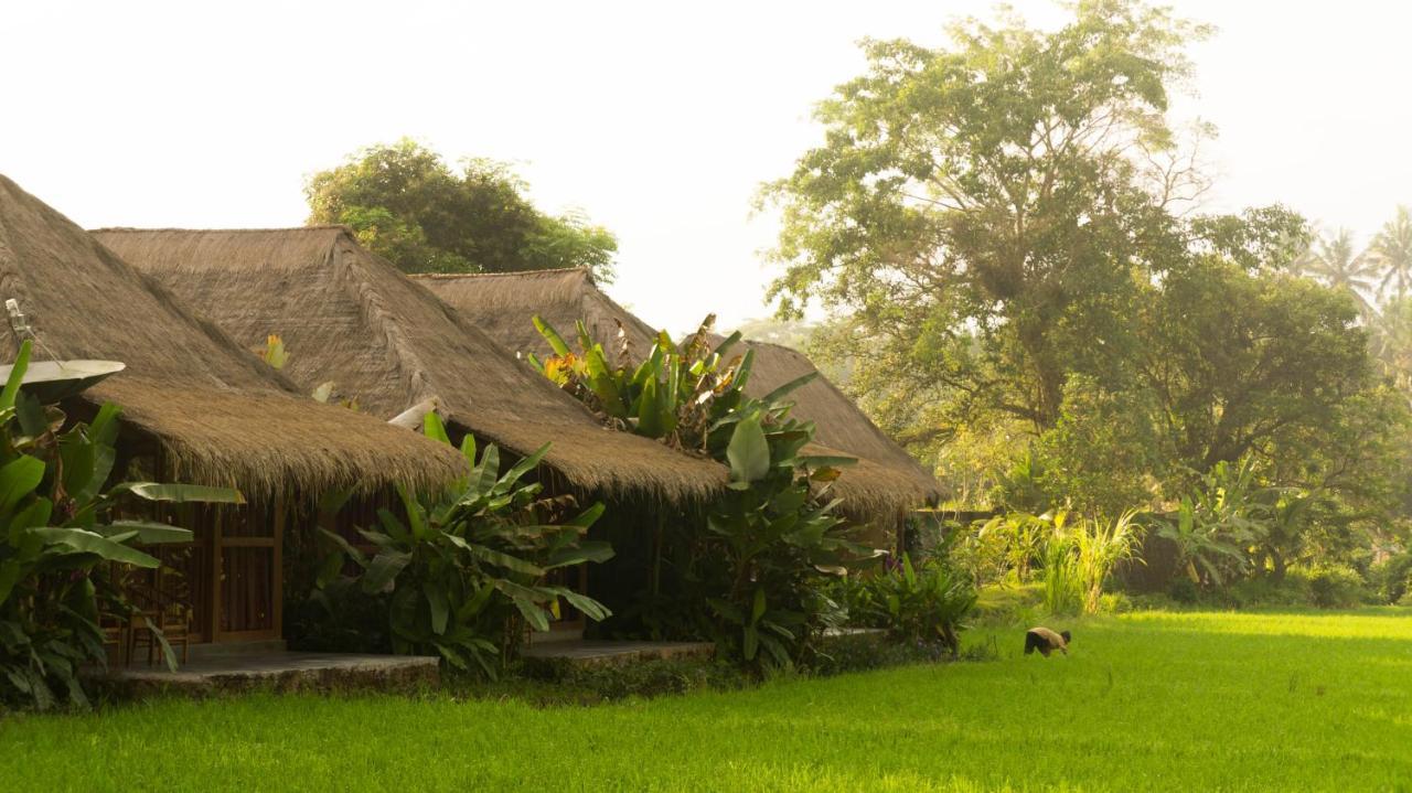 אובוד Sapulidi Resort Spa & Gallery Bali מראה חיצוני תמונה