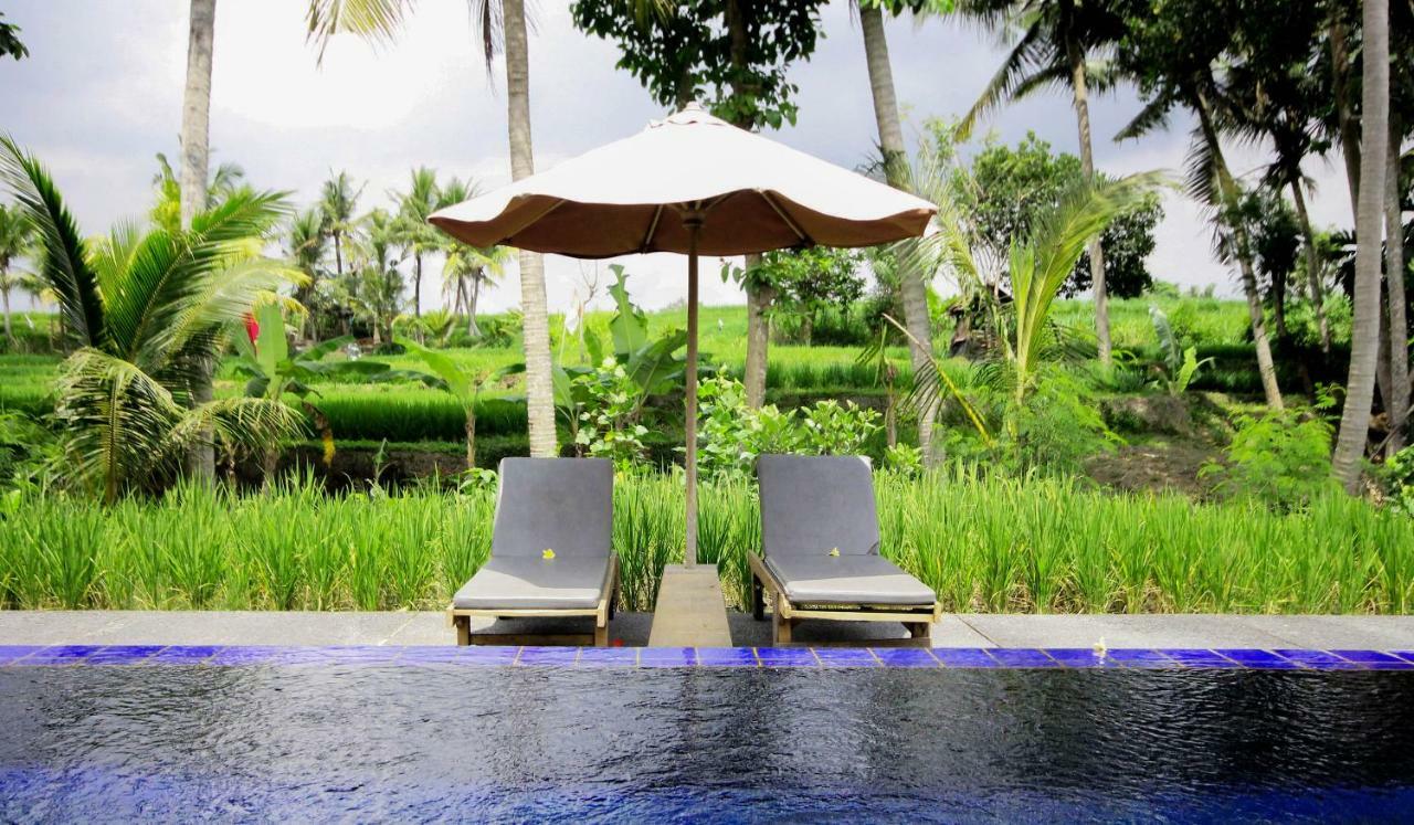 אובוד Sapulidi Resort Spa & Gallery Bali מראה חיצוני תמונה